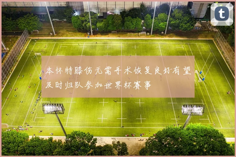 本怀特膝伤无需手术恢复良好有望及时归队参加世界杯赛事